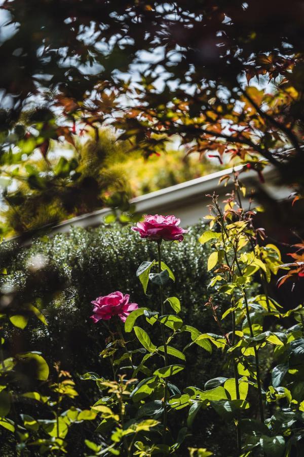 Daylesford Spa Accommodation ภายนอก รูปภาพ