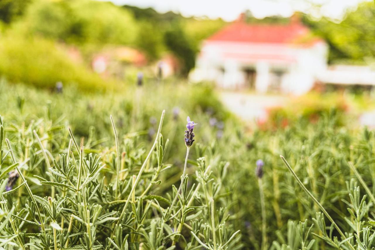 Daylesford Spa Accommodation ภายนอก รูปภาพ